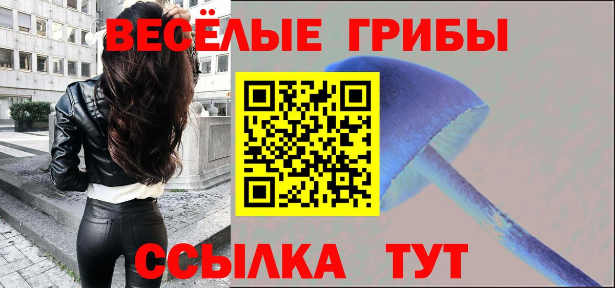 Псилоцибиновые грибы мухоморы  Вход с VPN  Балашиха  Псилоцибиновые грибы Psilocybine cubensis 