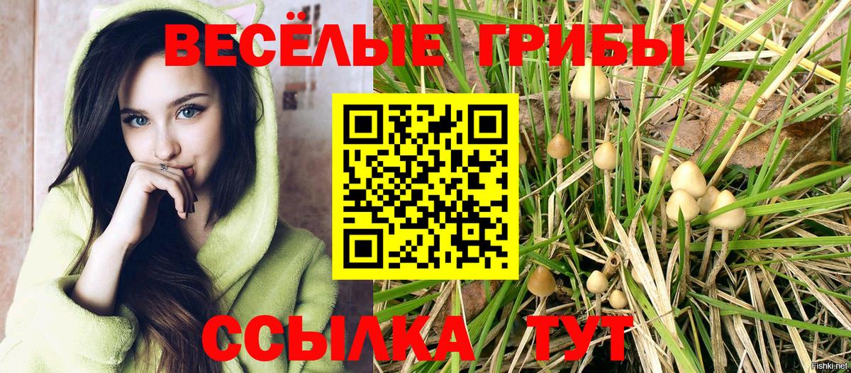 Галлюциногенные грибы Magic Shrooms Балашиха